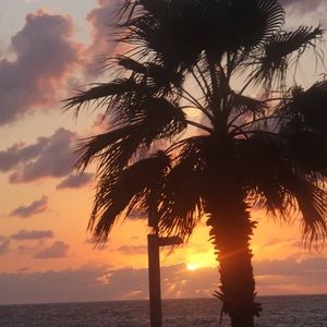 Meet your Posher, Blima